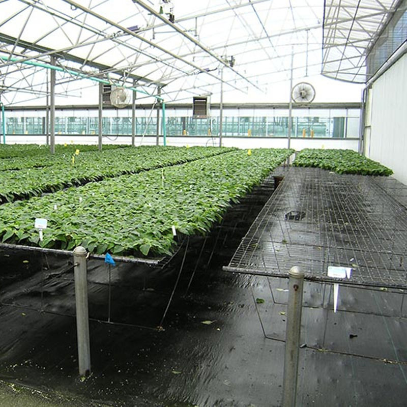 Ground Cover for Greenhouse